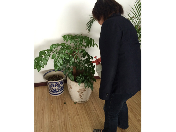 綠化養護服務(wù)